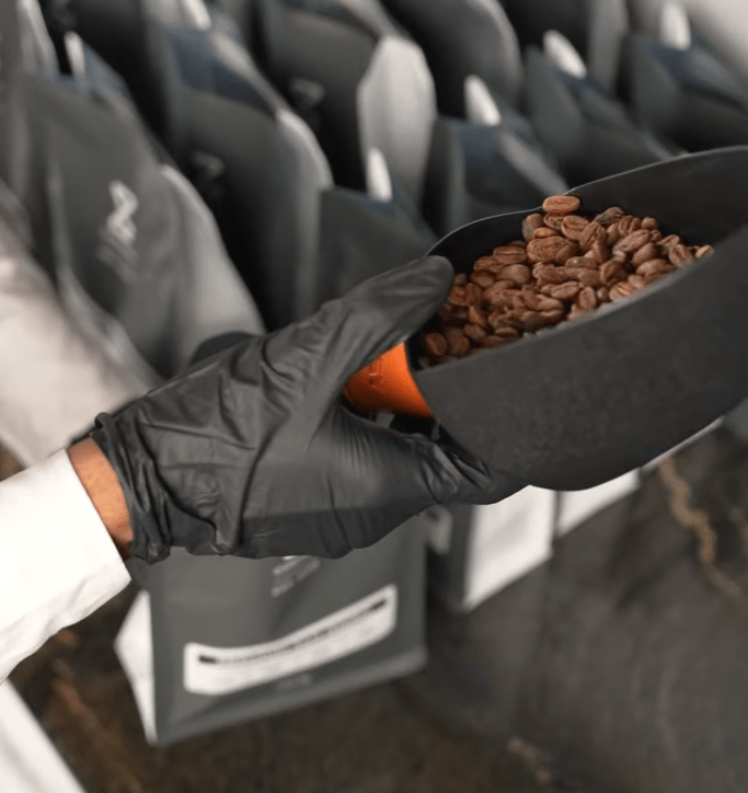 The Journey of Cortado Specialty&nbsp;Coffee’s